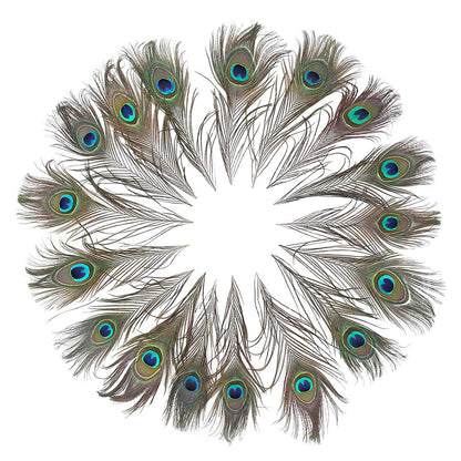 60 PCS Real Natural Peacock Eye Feathers 10-12 inch for DIY Craft, Wedding and Holiday Decorations