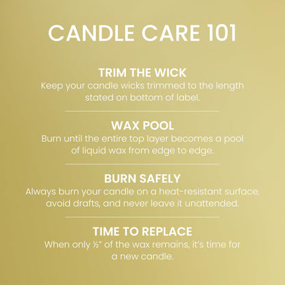 Yankee Candle Large Tumbler Scented Candle with up to 80 Hour Burn Time, Premium Plant Wax Blend for Consistent Burn, 20 oz Tumbler Candle with Room Filling Fragrance, Sicilian Lemon