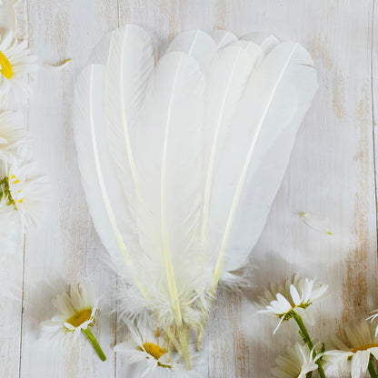 Feathers for Crafting 10-12 inches 24pcs Natural Black Big Turkey Feather Bulk for Craft DIY Crafts, Angel Wings, Dream Catcher and Wedding Party Decorations (White)