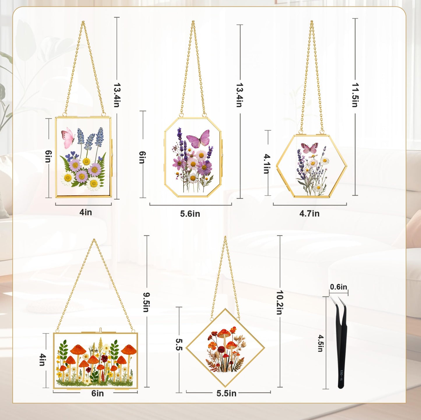 BABUFINE Pressed Flower Frames with Tweezers, Wall Hanging Double Glass Picture Frames with Chain for Dried Flowers Plants Wall Decor,Only Frame (Gold-5PCS)