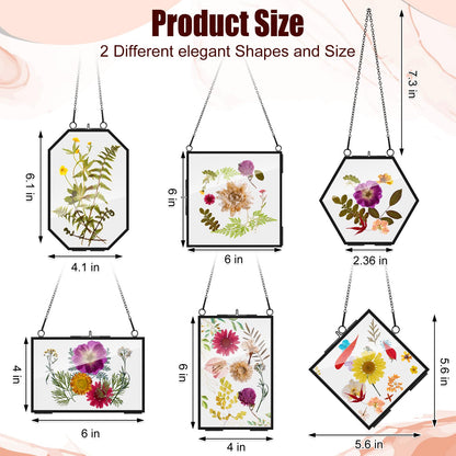 Soaoo 12 Pcs Brass Glass Frame for Pressed Flowers with Chain Clear Double Glass Floating Artwork Display Frame for Wall Decor with Dried Plant Leaf, 6 Shapes (Black)