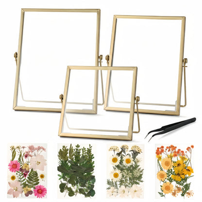 Relaxing Garden Floating Double Glass Frame Set, Gold Pressed Flower Frame DIY Kit with 68 Dried Flowers & Tweezers, 3 Sizes 6x6 6x8 7x9 for Keepsakes, Wedding Photos & Home Decor