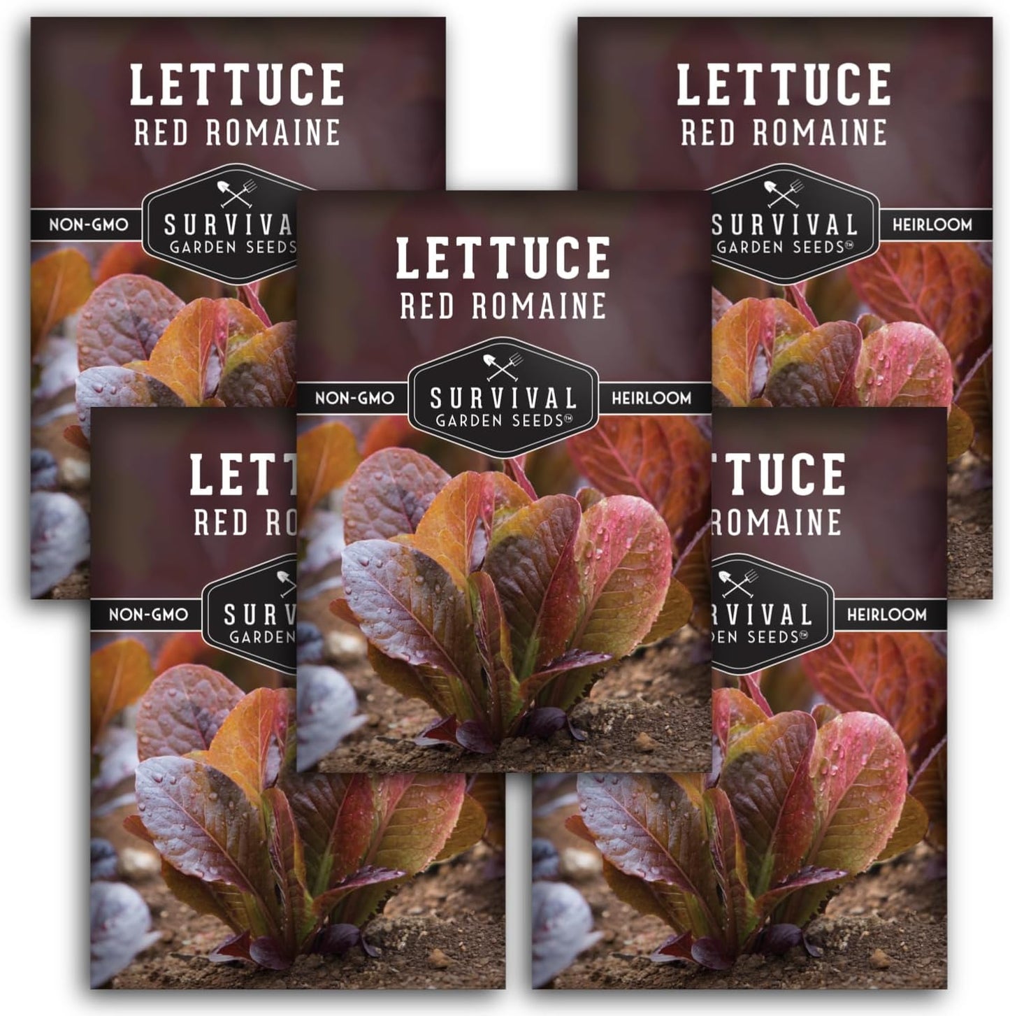 (5 Packs) Red Romaine Lettuce Seeds for Planting - Crisp Red Leaf Romaine Lettuce Seeds for Garden Growing, High Yield