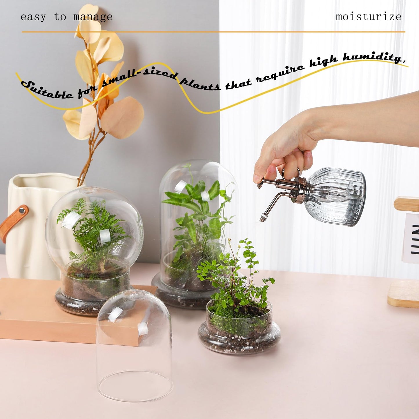 WHJY 6 inches Glass Cloche for Indoor Plants Small Terrarium Glass Cloche with Base Mini Cloche Dome with Base for Display Home Decor