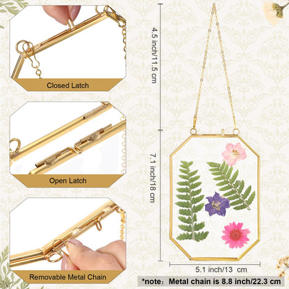 Vicenpal 6 Pcs 5 x 7 Inch Pressed Flower Frames Bulk, Floating Wall Hanging Double Glass Picture Frames with Metal Chain for Display Gallery Dried Plant Wedding Gifts for Mom Friends DIY Handy Craft