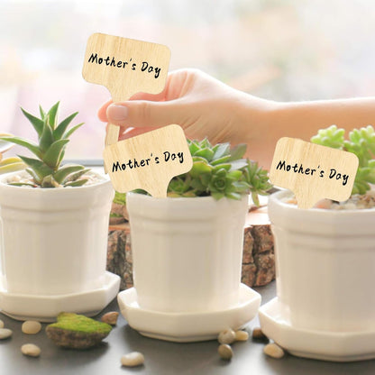 Whaline 60Pcs Wooden Plant Labels with Marker Pen, Decorative Garden Markers for Herbs