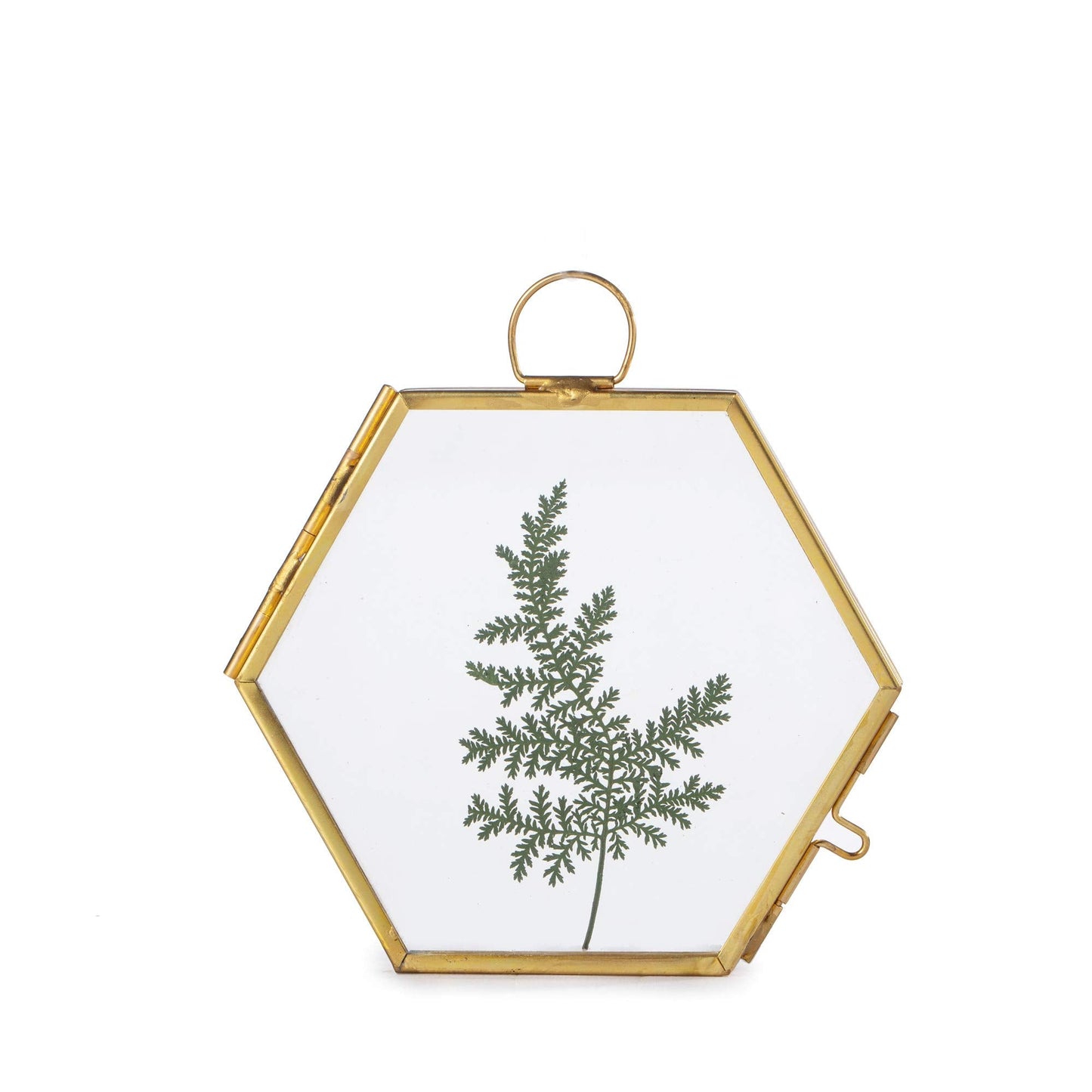 NCYP Mini Glass Floating Frame for Dried Flowers Plants, Photo - Side length 1.9 Inches - Wall Hanging Vertical Decor, Small Double Specimen Clip, Gold Hexagon (Glass Frame Only)