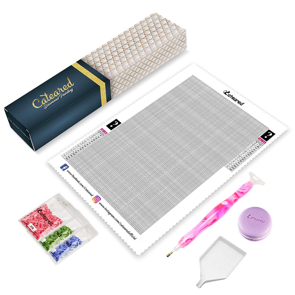 CATEARED Mystery Diamond Painting Kit for Adults, Unknown Picture 5D Diamond Art Kit with Full Accessories Paint by Numbers for DIY Craft Wall Decor (Square Drills,Random Size)