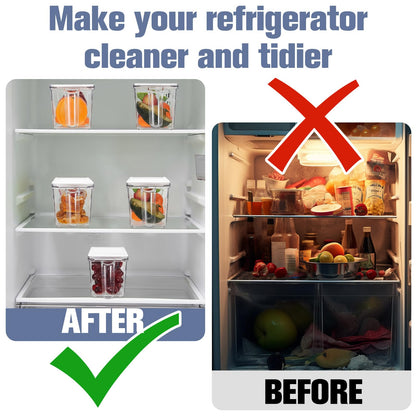 Havawish Ice Storage Bin for Freezer with Lid and Flexible Scoop Set Plastic Ice Container with Lid Handle for Home Office Fridge Storage (12.4 x 3.94 x 3.94 Inches,Clear,2 Pcs)