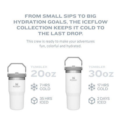 Stanley IceFlow Flip Straw Tumbler with Handle 20 oz | Twist On Lid and Flip Up Straw | Leak Resistant Water Bottle | Insulated Stainless Steel |BPA-Free | Iris