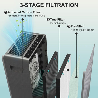 Asrhine 2 Sets Air400 Filter Replacement for Bissell Air400, 2 Filter, 2 Carbon Post Filter, 8 Pre Filter, Compared to Part 2521 and 2520 (2 Sets Air400)