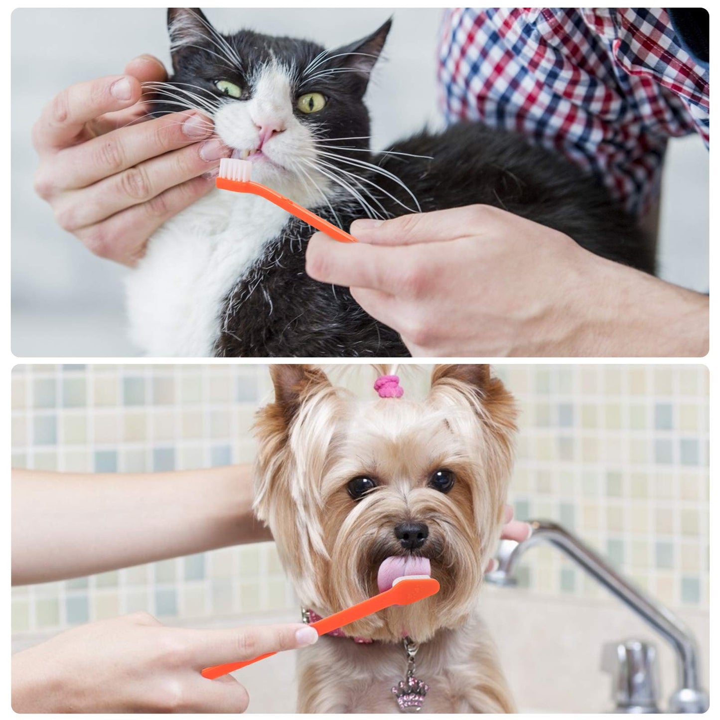 EASYA Double Headed Pet Dog Toothbrush for Small Dogs/Soft Bristles Puppy Long Handle Tooth Brush Dogs Teeth Cleaning/Bulk Toothbrushes (MIXED10)