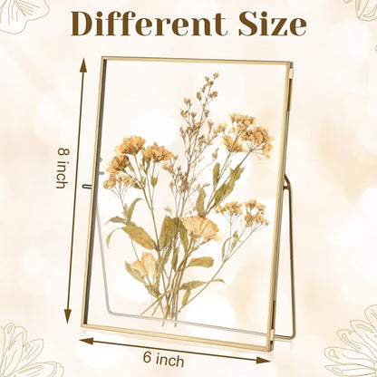 Vicenpal 3 Pack Glass Pressed Flower Frame Handmade, 6 x 8 Floating Picture Frames for Pressed Flowers, Brass Double Glass for Tabletop Display, Home Office Plant Specimen, Photos(Gold)