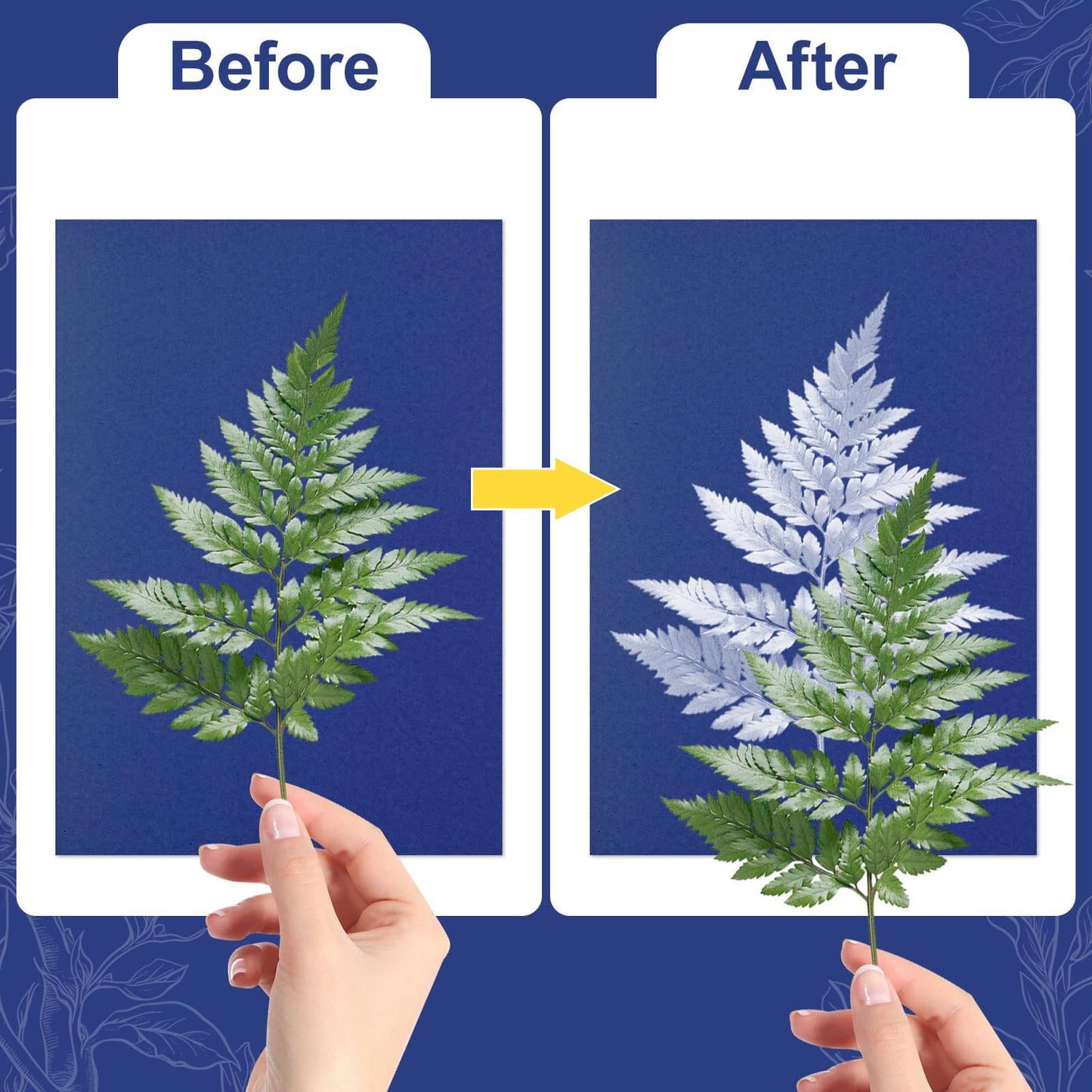 gisgfim Sun Cyanotype Printing Paper Kit A4 24 Sheets Cyanotype Papers with 1 Sheet Acrylic Panel and Manual High Sensitive Nature Solar Activated UV Sun Printing for Arts DIY Crafts Project