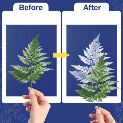gisgfim Sun Cyanotype Printing Paper Kit A4 24 Sheets Cyanotype Papers with 1 Sheet Acrylic Panel and Manual High Sensitive Nature Solar Activated UV Sun Printing for Arts DIY Crafts Project