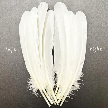 White Feathers 8-10inch,50PCS 21-25cm Bulk Feather for Crafts,Natural Long Goose Feather,for Wedding Dress and Party Costumes Decoration,DIY Fabricating Handicraft Article
