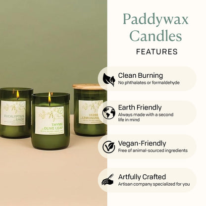 Paddywax Eco Collection Scented Soy Wax Candle in Glass Jar, Verbena & Lemongrass Fragrance, Green Vessel with Wood Lid, 8 oz