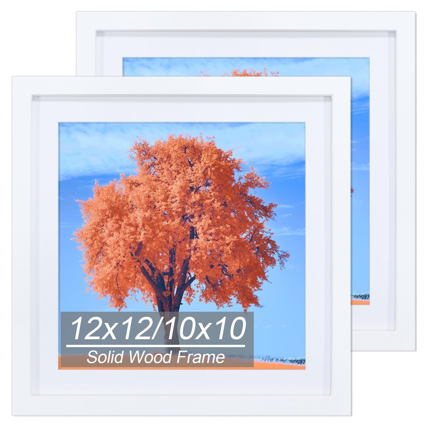 2 Pack 12x12 Picture Frame White, Solid Wood Diamond Art Painting Frames 30x30cm, Display Pictures 10x10 with Mat or 12 x 12 Without Mat, 12x12 Frame for Photos Posters Prints Artworks, Wall Hanging