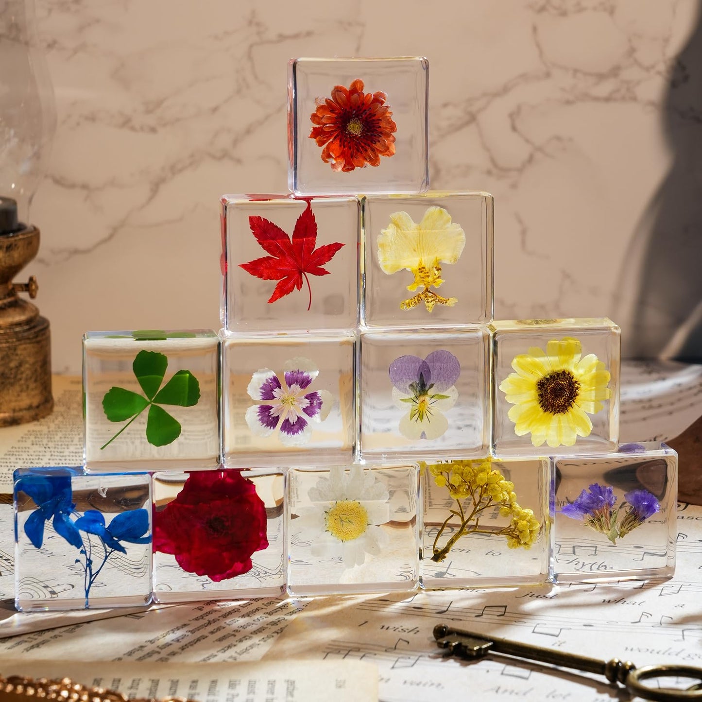 12 Pcs Flower Paperweight, Real Flower Specimen Pressed Flowers in Resin, Botanical Paperweights for Desk Decor, Science Education & Unique Display Supplies (12 Pcs Flower Set 3)