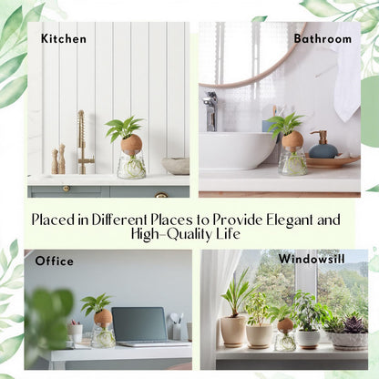 Baderke 3 Pcs 3.15 Inches Glass Plant Propagation Stations with Spherical Lid Glass Jars Plant Propagation Vases Hydroponic Spherical Cork Planter for Indoor Home Office Desktop Decor(Conical)