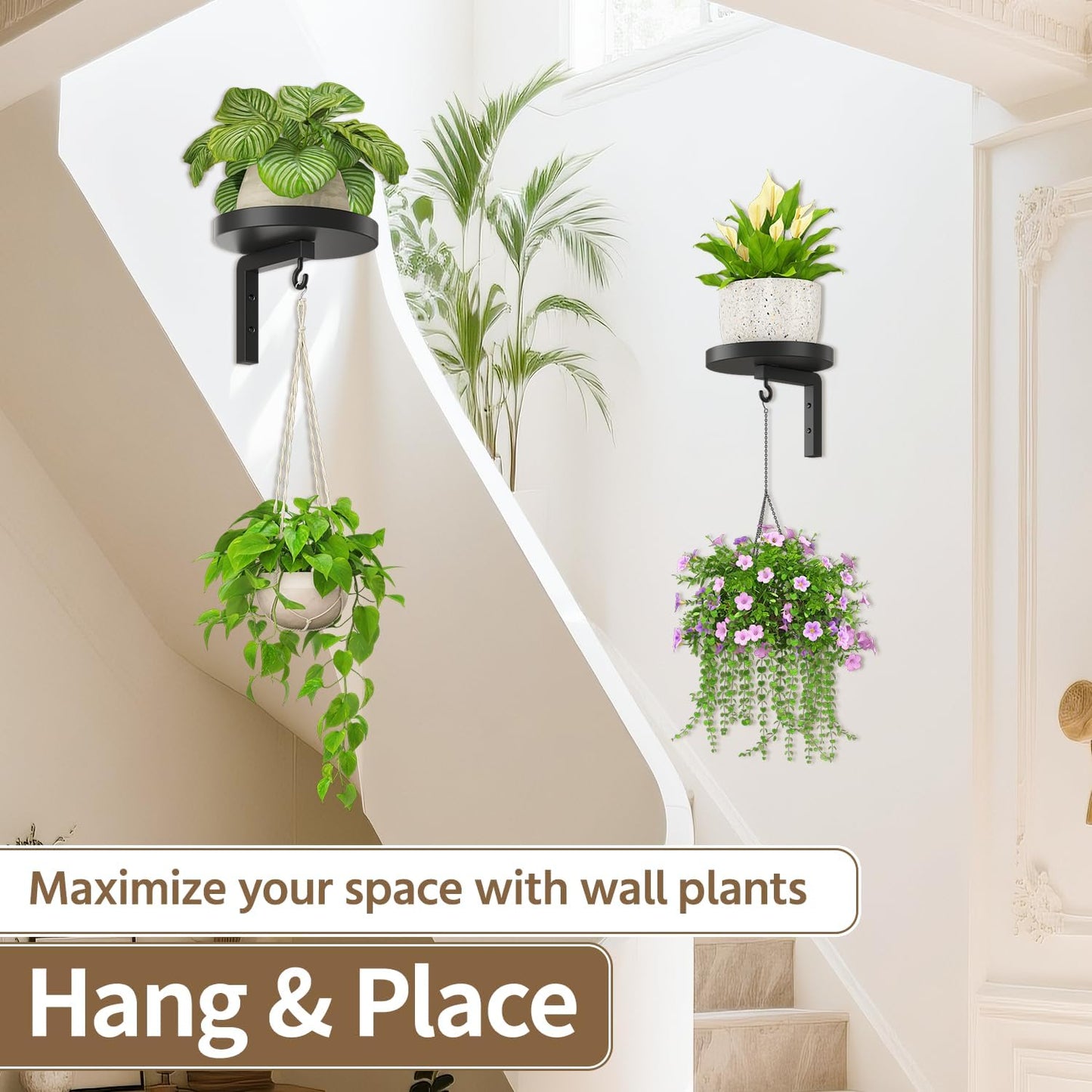 2Pcs 2 LASZOLA Plant Hangers Shelves Wall Mounted Indoor, Metal Window Plant Holders, Modern Floating Flower Display