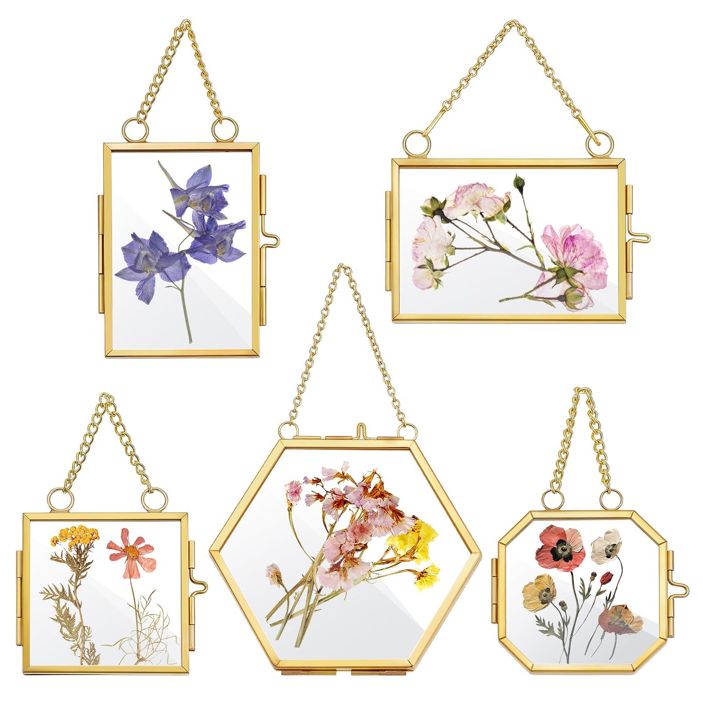 5 Pcs Mini Gold Double Glass Frame for Pressed Flower Frames, 2x3.2 In Wall Hanging Picture Frames with Metal Chain, Horizontal Vertical Floating Glass Picture Frame for Plants Artwork Display
