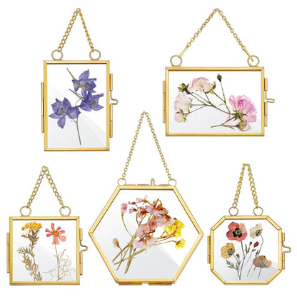 5 Pcs Mini Gold Double Glass Frame for Pressed Flower Frames, 2x3.2 In Wall Hanging Picture Frames with Metal Chain, Horizontal Vertical Floating Glass Picture Frame for Plants Artwork Display