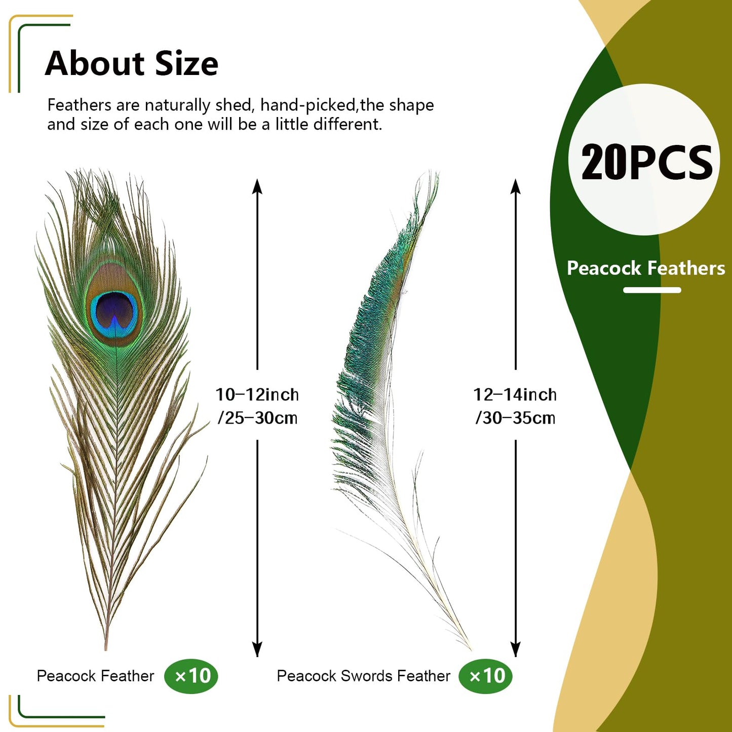 iHUFeather 20PCS Real Natural Peacock Feathers Peacock Swords 10-12 inch,for DIY Craft,Floral Arrangements,Wedding,Home and Party Decorations Feathers,Natural
