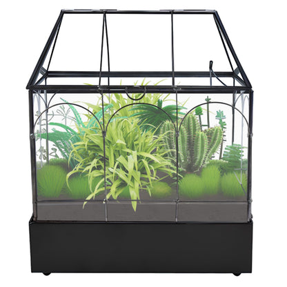 HighFree Glass Terrarium with Metal Tray, Glass Greenhouse Terrarium Kit for Succulents, Cacti, Snails, Spiders, and Miniature Reptiles, Black (Large-9.45" L x 5.7" W x 11.8" H)