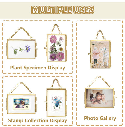 4Pcs Double Glass Frame for Pressed Flowers, 2x3 inch Picture Frame Mini Brass Wall Hanging Photo Floating Frame with Chain for Plant Specimen Artwork Display Home Wall Decor (Gold, Vertical)