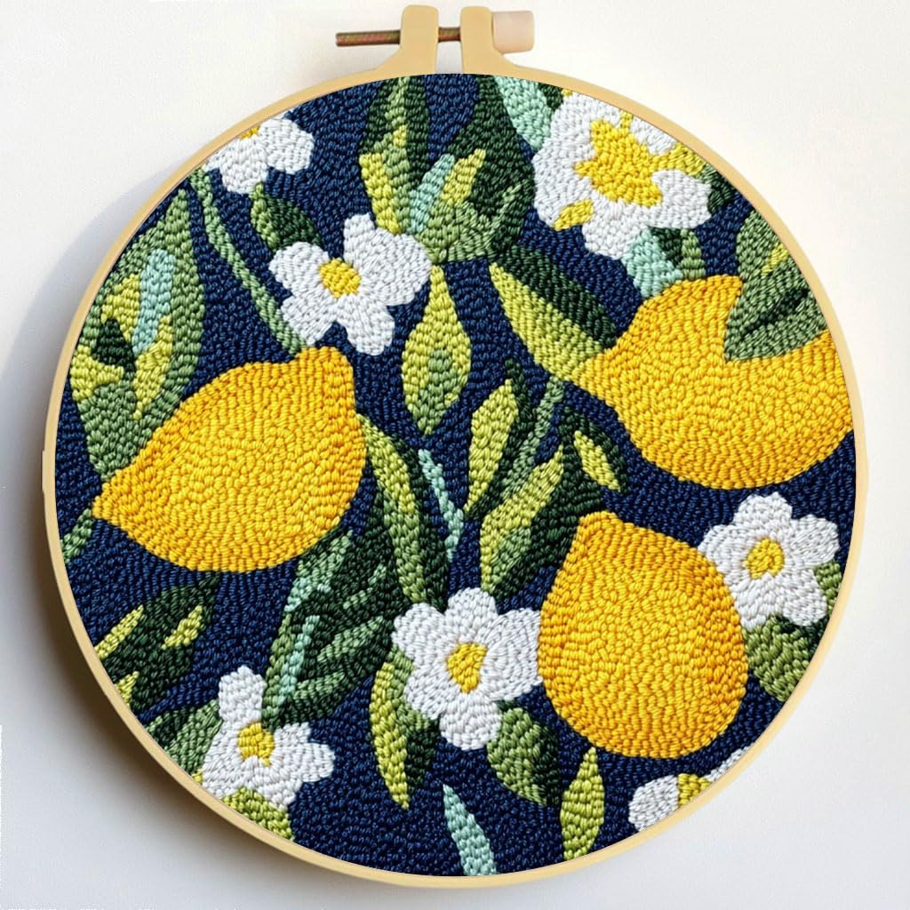 Punch Needle Kits Lemon Spice DIY Embroidery Starter Set with Hoop Easy for Beginners Stress Relief Handmade Craft Hobby and Home Decor 20x20cm-10