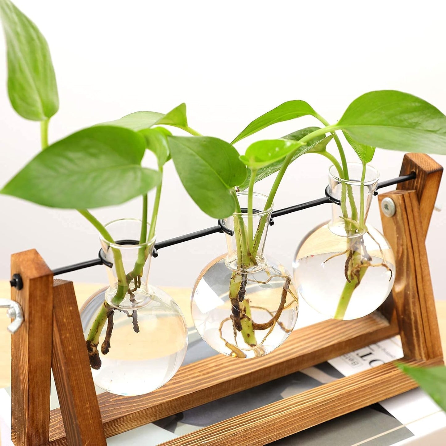 3 Bulb Kingbuy Desktop Glass Planter Iron and Wooden Stand Plant Terrariums for Indoor Office Desk Decor Accessories