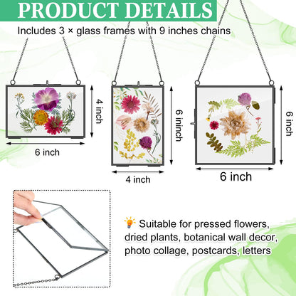Geetery 9 Pcs Glass Frame for Pressed Flowers 6x4 4x6 6x6 in Black Hanging Picture Frames Metal Floating Double Glass Display Frame with Chain for Dried Flower Plant Specimen DIY Artwork Wall Decor