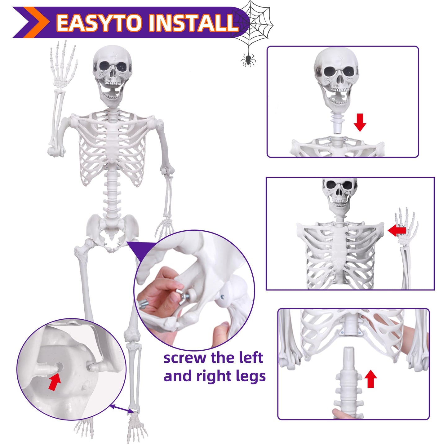 5.4 ft Halloween Skeleton Poseable Skeleton Life Size Skeleton Full Body Plastic Human Bones Standing Human Skeleton with Posable Joints for Halloween Decoration（1PCS