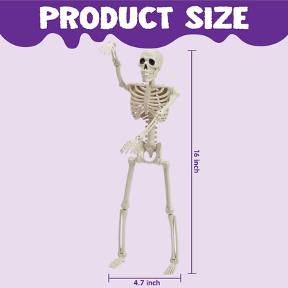 JOYIN 2PCS 16" Halloween Skeleton Decor, Full Body Stayable Movable Joints, Posable Hanging Skeletons for Halloween Decoration, Yard, Graveyard, Haunted House Props, Spooky Scene Party Favor