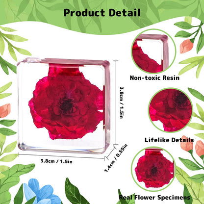 12 Pcs Flower Paperweight, Real Flower Specimen Pressed Flowers in Resin, Botanical Paperweights for Desk Decor, Science Education & Unique Display Supplies (12 Pcs Flower Set 3)