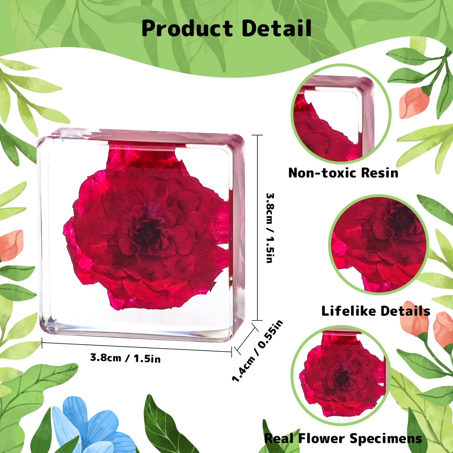 12 Pcs Flower Paperweight, Real Flower Specimen Pressed Flowers in Resin, Botanical Paperweights for Desk Decor, Science Education & Unique Display Supplies (12 Pcs Flower Set 3)