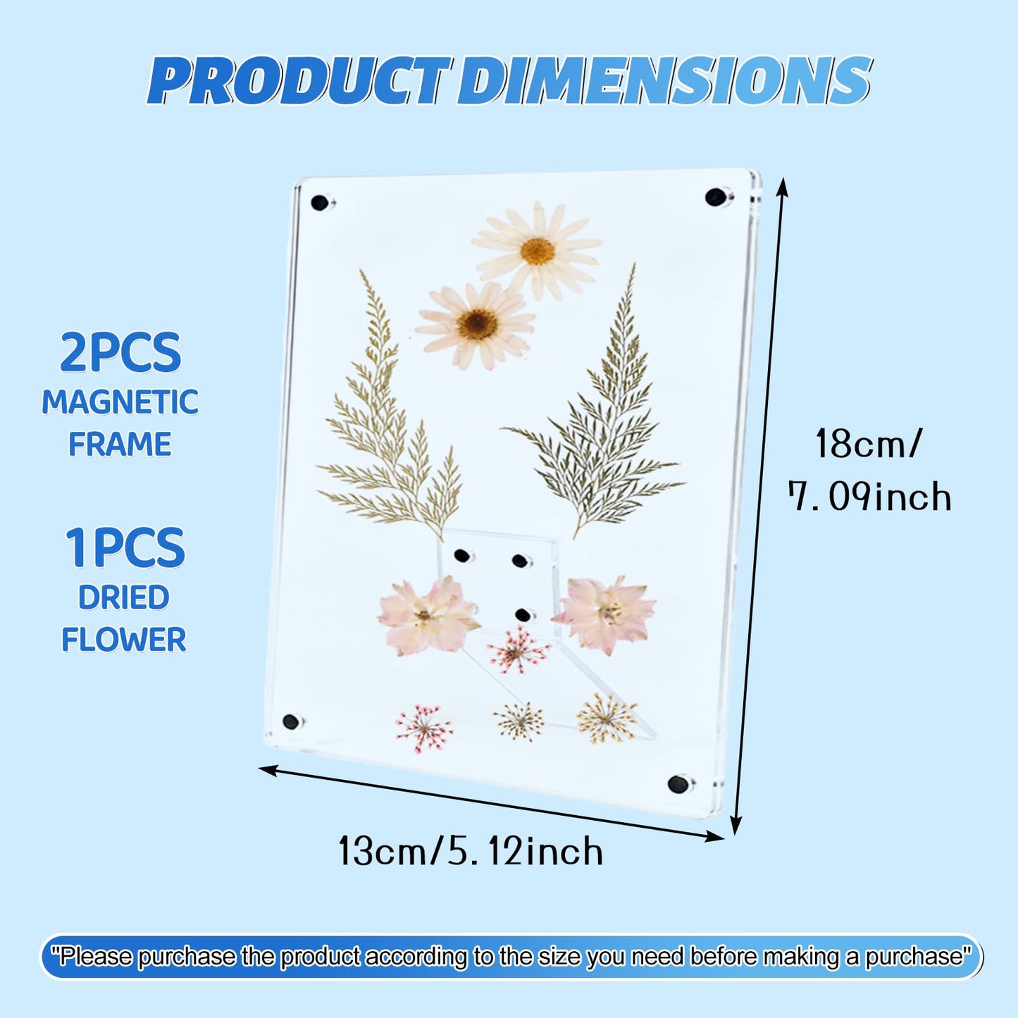 Cnbnd Clear Acrylic Magnetic Pressed Flower Frame, Double Panel Floating Frame for Dried Flower Display, Easy-Open Magnetic Acrylic for DIY Art, Home & Office Wall Décor Gift(Transparent 2Pcs, 5X7in)