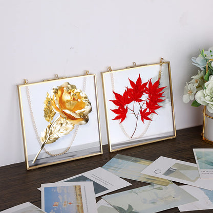 JUXYES 2 Pack Wall Hanging Brass Frame for Pressed Flowers, Glass Floating Frames for Display Dried Flowers Artwork, Double Glass Floating Style Square Gallery Wall Frame for Plants Photo Picture Poster etc