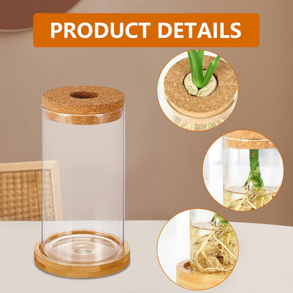 Hyuetrsa 6 Pcs Plant Propagation Terrarium Glass Propagation Vase Containers with Cork and Wooden Saucer for Hydroponic Plants Tabletop Decoration Jars for Plants (2.56 x 4 Inch)