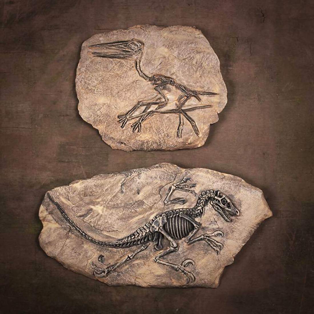 XINDAM Resin Dinosaur Fossil Statue Model Simulated Skeleton Home Office Display Decorative Craft Box Decoration (Style 2)