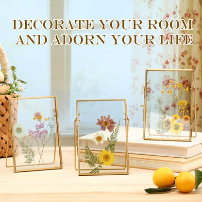 Vicenpal 3 Pack Glass Pressed Flower Frame Handmade, 4 x 6 floating Picture Frames for Pressed Flowers, Brass Double Glass for Tabletop Display, Home Office Plant Specimen, Photos(Gold)