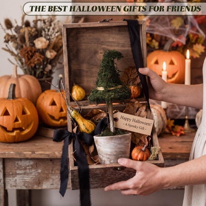 Thiccywoov 3 Pcs Halloween Witch Hat Topiary Plant with Pot Fake Small Moss Halloween Decorations Rustic Farm Witch Hat Plant Pot Tabletop Centerpiece for Home Bedroom Tiered Tray Decor Gifts 8.6inch