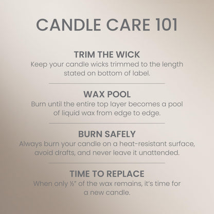 Yankee Candle Studio Scented Candle with up to 50 Hour Burn Time,Premium Plant Wax Blend for Consistent Burn,10 oz Jar-Candle with Room Filling Fragrance,Amber & Sandalwood,(Pack of 4)