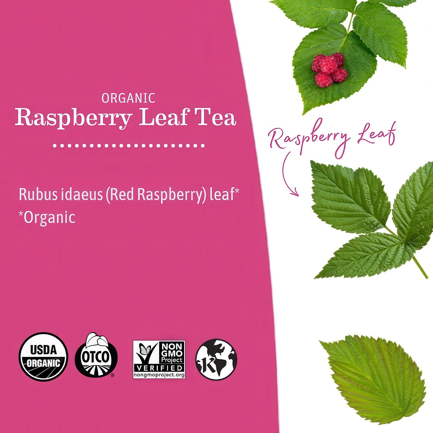 Earth Mama Organic Red Raspberry Leaf Tea | Labor Prep & Menstrual Support Herbal Tea, Pregnancy & Postpartum Care Recovery | 32 Teabags | Caffeine Free & Non-GMO
