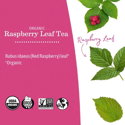 Earth Mama Organic Red Raspberry Leaf Tea | Labor Prep & Menstrual Support Herbal Tea, Pregnancy & Postpartum Care Recovery | 32 Teabags | Caffeine Free & Non-GMO