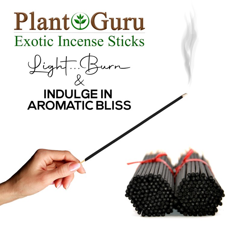 Pumpkin Spice Incense Sticks 11" - 1 Bundle 85 to 100 Sticks - Smooth and Clean Long Burn Time, 45 to 60 Minutes.