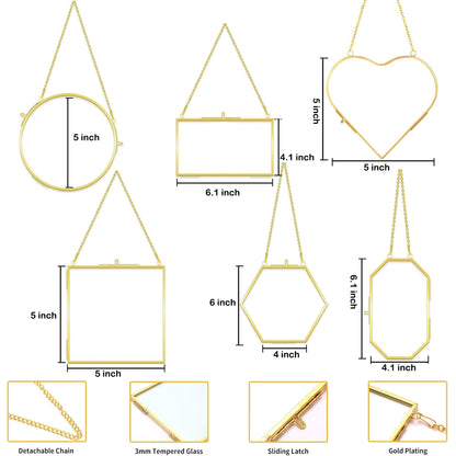HBLEDOT Pressed Flower Frames, Wall Hanging Double Glass Picture Frames with Chain for Dried Flowers Plants Wall Decor,Only Frame and tweezers (Gold-6PCS)