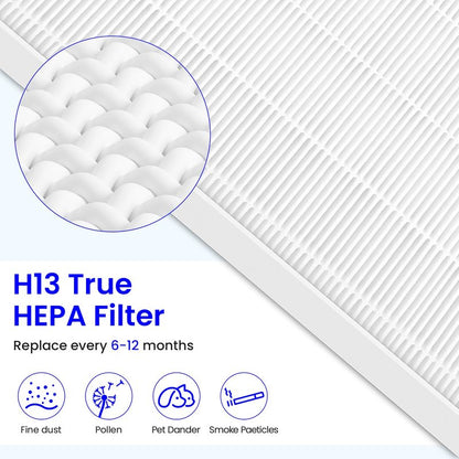 Future Way 2-Pack C545 Replacement Filter S Kit Compatible with Winix C545 Air Purifier, 2 H13 True HEPA Filter + 8 Activated Carbon Filters, Replace 1712-0096-00