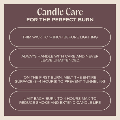 Companion Candles Celebrate the Season Pet-Friendly Scented Candle – Cookie Butter, Brown Sugar & Vanilla Fragrance - Coconut Soy Wax Candle with Wooden Wick, 50-Hour Burn Time, Made in USA, 11.8 oz